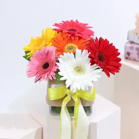 Gerberas in a Vase