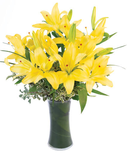 Lilies in a Vase