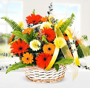 Basket of Gerberas