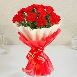 12 Carnations Bunch