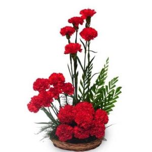 Basket of Carnations
